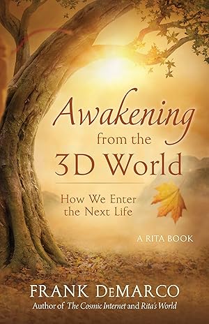 Seller image for Awakening from the 3D World: How We Enter the Next Life for sale by Greenworld Books
