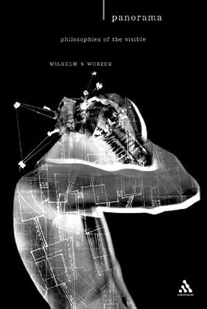 Seller image for Panorama : Philosophies of the Visible for sale by GreatBookPrices