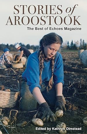 Immagine del venditore per Stories of Aroostook: The Best of Echoes Magazine venduto da Goodwill Southern California
