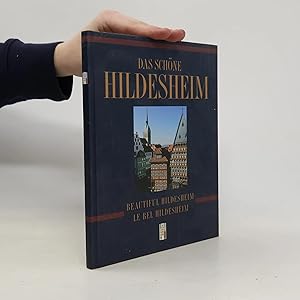 Seller image for Das sch�ne Hildesheim for sale by Bookbot