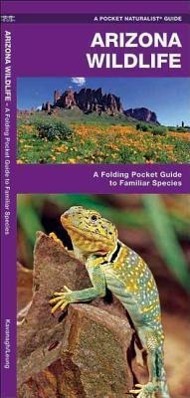 Bild des Verk�ufers f�r Praxis der Schwerbehindertenvertretung von A bis Z zum Verkauf von moluna