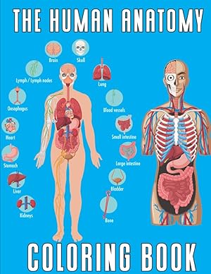 Imagen del vendedor de The Human Anatomy a la venta por Rarewaves USA