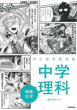 Bild des Verk�ufers f�r Junior High School Science Physics/Chemistry Explained Through Manga zum Verkauf von Rarewaves.com UK