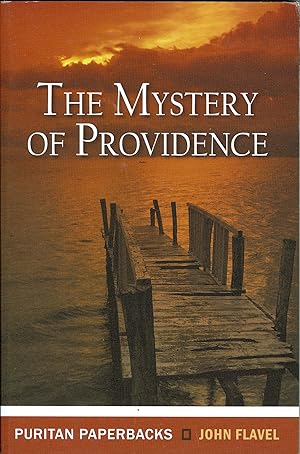 Immagine del venditore per Mystery of Providence venduto da Blue Vase Books