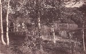 Bild des Verk�ufers f�r Stadtpark. Ententeich. Ansichtskarte in Lichtdruck. Ungelaufen. zum Verkauf von Antiquariat Heinz Tessin