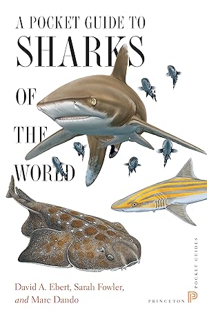 Immagine del venditore per A Pocket Guide to Sharks of the World (Princeton Pocket Guides) venduto da -OnTimeBooks-