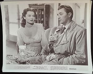 Immagine del venditore per Out of the Past 8 x 10 Still 1947 Robert Mitchum & Rhonda Fleming! venduto da AcornBooksNH
