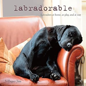 Bild des Verk�ufers f�r Labradorable: Labradors at home, at large, and at play zum Verkauf von Dream Books Co.