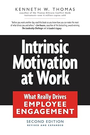 Seller image for Intrinsic Motivation at Work: Building Energy and Commitment for sale by Greenworld Books