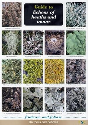 Seller image for Guide to Lichens of Heaths and Moors (WildID) for sale by WeBuyBooks