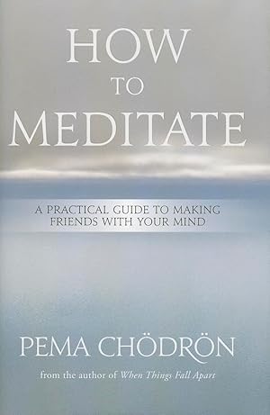 Imagen del vendedor de How to Meditate: A Practical Guide to Making Friends with Your Mind a la venta por Greenworld Books