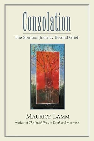 Seller image for Consolation: The Spiritual Journey Beyond Grief for sale by Zoom Books Company