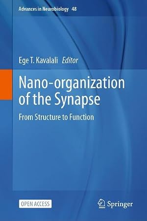 Immagine del venditore per Nano-organization of the Synapse venduto da buchversandmimpf2000
