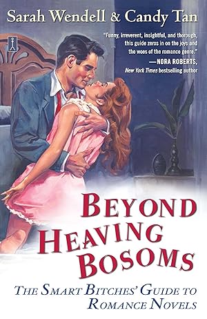 Imagen del vendedor de Beyond Heaving Bosoms: The Smart Bitches' Guide to Romance Novels a la venta por 3Brothers Bookstore