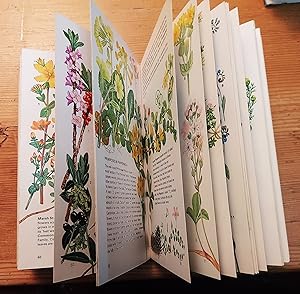 Seller image for Collins Handguide to the Wild Flowers of Britian and Northern Europe *** 1st Ed *** for sale by Coach Books