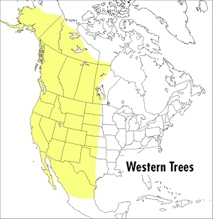 Immagine del venditore per A Peterson Field Guide To Western Trees: Western United States and Canada �" A Visual Guide to 387 Species with Color Plates venduto da -OnTimeBooks-