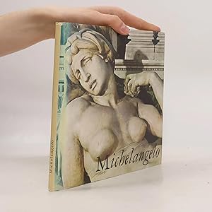 Imagen del vendedor de Michelangelo a la venta por Bookbot