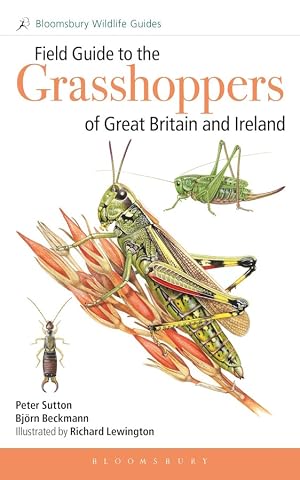 Immagine del venditore per Field Guide to the Grasshoppers of Great Britain and Ireland: Grasshoppers, crickets, earwigs, cockroaches, stick-insects and mantids venduto da PEMBERLEY NATURAL HISTORY BOOKS BA, ABA