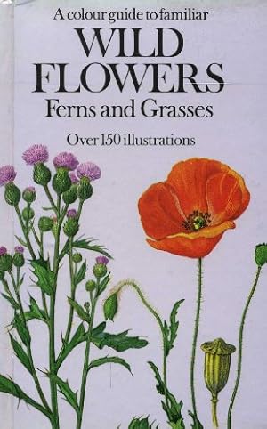 Bild des Verk�ufers f�r A Colour Guide to Familiar Wild Flowers, Ferns and Grasses zum Verkauf von WeBuyBooks