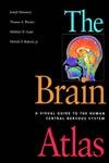 Bild des Verk�ufers f�r The Brain Atlas: A Visual Guide to the Human Central Nervous System zum Verkauf von Bay State Book Company