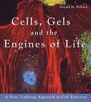 Image du vendeur pour Cells, Gels and the Engines of Life: A New Unifying Approach to Cell Function (Hardback or Cased Book) mis en vente par BargainBookStores