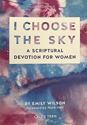 Bild des Verk�ufers f�r I Choose the Sky zum Verkauf von Dream Books Co.