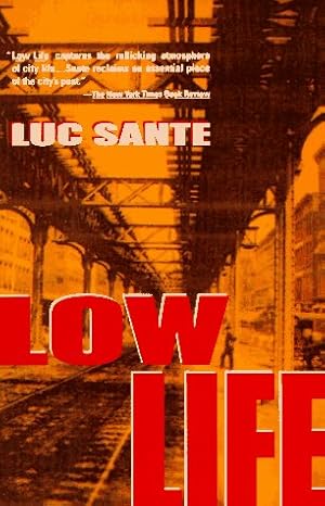 Seller image for Low Life: Lures and Snares of Old New York for sale by Greenworld Books