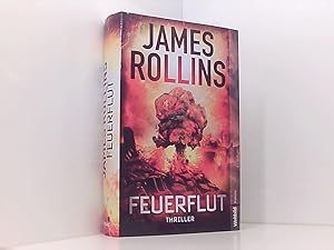 Bild des Verk�ufers f�r Feuerflut Thriller zum Verkauf von Book Broker