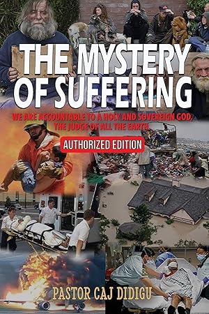Immagine del venditore per The Mystery of Suffering venduto da Rarewaves.com USA
