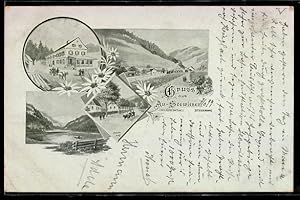 Image du vendeur pour Ansichtskarte Seewiesen /Steiermark, Ortsansicht, See und Strassenpartie mis en vente par Bartko-Reher