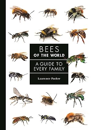Seller image for Bees of the World: A Guide to Every Family for sale by Zoom Books Company