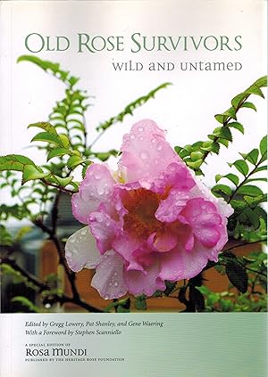 Immagine del venditore per Old Rose Survivors: Wild and Untamed A Special Edition of Rosa Mundi venduto da Fox & Hedgehog