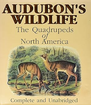 Immagine del venditore per Audubon's Wildlife: The Quadrupeds of North America venduto da Greenworld Books