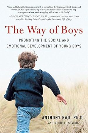 Bild des Verk�ufers f�r The Way of Boys: Promoting the Social and Emotional Development of Young Boys zum Verkauf von WeBuyBooks