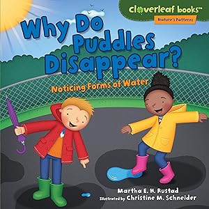 Bild des Verk�ufers f�r Why Do Puddles Disappear?: Noticing Forms of Water (Cloverleaf Books - Nature's Patterns) zum Verkauf von Bay State Book Company