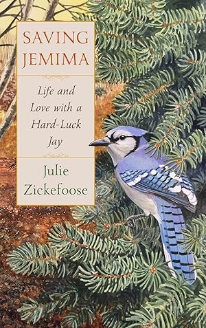 Bild des Verk�ufers f�r Saving Jemima: Life and Love with a Hard-Luck Jay �" The Emotional True Story of Rehabilitating an Orphaned Blue Jay zum Verkauf von Zoom Books Company