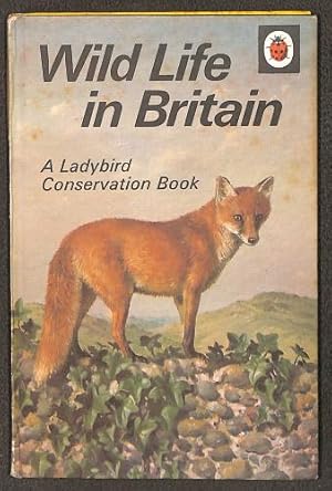 Bild des Verk�ufers f�r Wild Life in Britain zum Verkauf von WeBuyBooks
