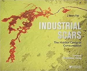 Seller image for Industrial Scars: The Hidden Cost of Consumption for sale by Browsing Is Arousing