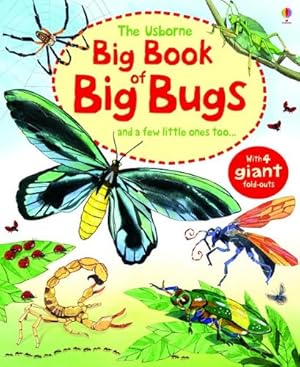 Imagen del vendedor de Big Book Of Big Bugs a la venta por Goodwill