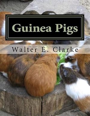 Immagine del venditore per Guinea Pigs : A Practical Treatise on Their Breeding, Feeding and Management of Cavies venduto da GreatBookPrices