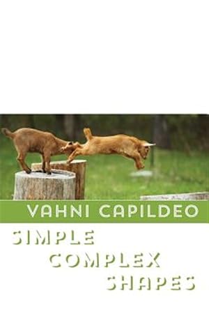 Imagen del vendedor de Simple Complex Shapes a la venta por GreatBookPrices