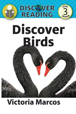 Imagen del vendedor de Discover Birds (Paperback or Softback) a la venta por BargainBookStores