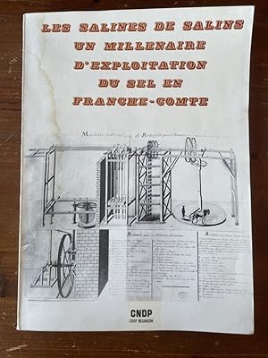 Immagine del venditore per Les salines de Salins, un millenaire d'exploitation du sel en Franche-Comt� venduto da Librairie des Possibles