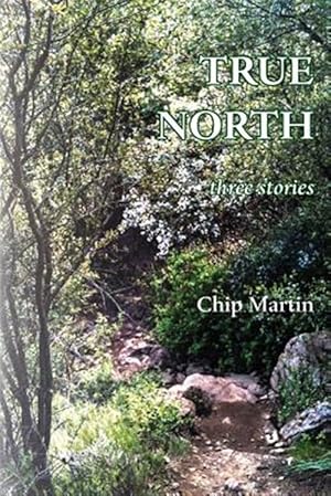 Immagine del venditore per True North: Three Stories venduto da GreatBookPrices