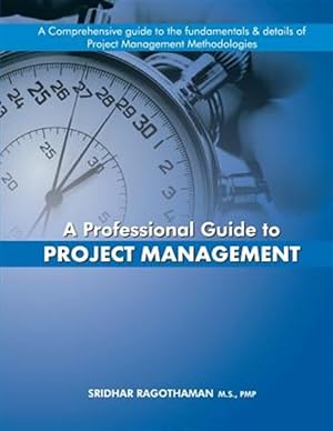Seller image for A Professional Guide to Project Management for sale by GreatBookPrices