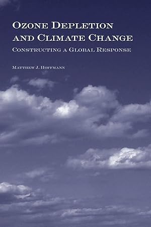 Seller image for Ozone Depletion and Climate Change | Constructing a Global Response for sale by preigu