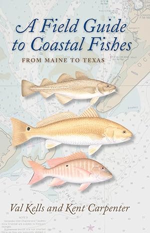 Seller image for A Field Guide to Coastal Fishes: From Maine to Texas for sale by Shakespeare Book House