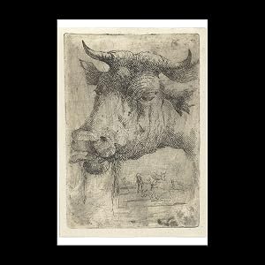 Immagine del venditore per Head of a cow with tongue out of mouth, 10x15 venduto da Contentum
