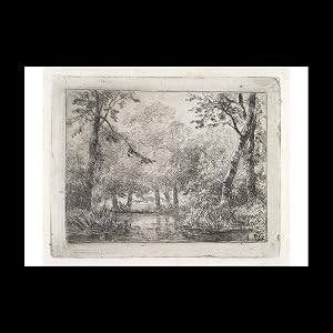 Seller image for Forest face with pond, A5 for sale by Contentum