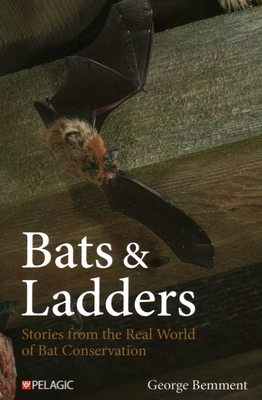 Imagen del vendedor de Bats & Ladders: Stories from the Real World of Bat Conservation (Paperback or Softback) a la venta por BargainBookStores